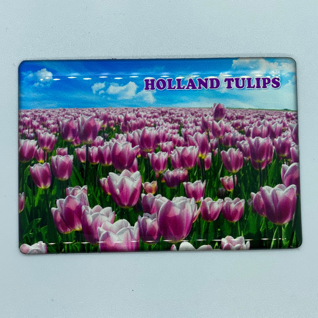 Magneet Holland met tulpen