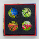 Mini magneten set van Gogh